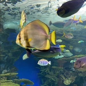 Meet your Posher, Sally